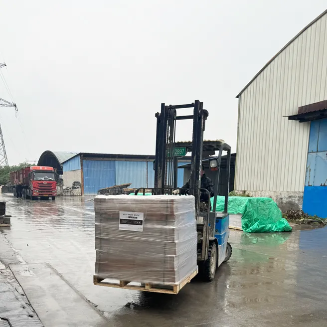 REBO Acid Resistant Bricks
