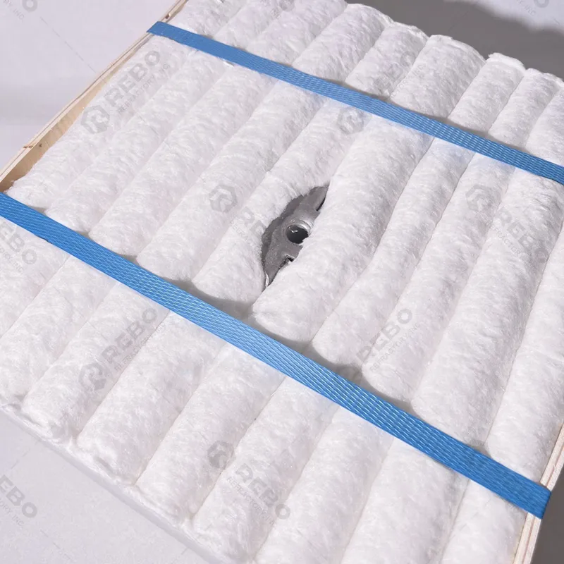 Devliery of Ceramic Fiber Module